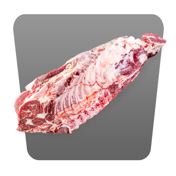 LOMBATA DI BOVINO ADULTO 8/C - immagine 3