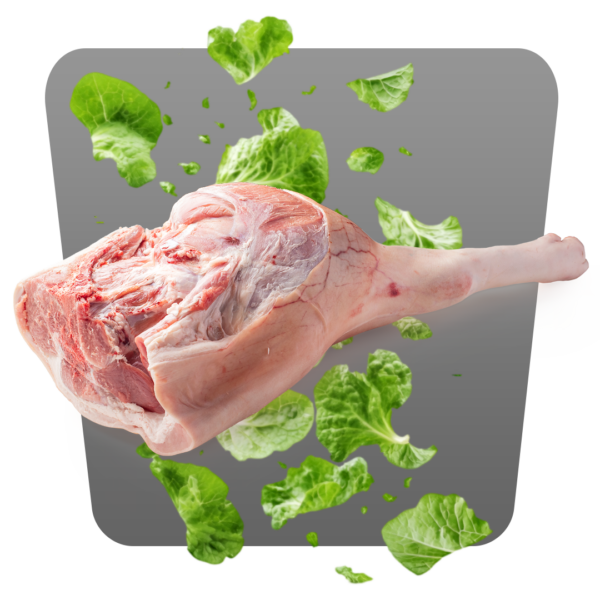 PROSCIUTTO DI SUINO CON OSSO - immagine 2