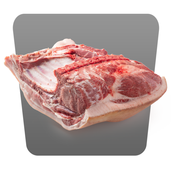 SPALLA DI SUNO
