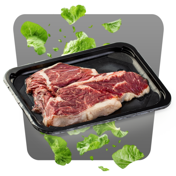 T-BONE DI BOVINO ADULTO - immagine 2