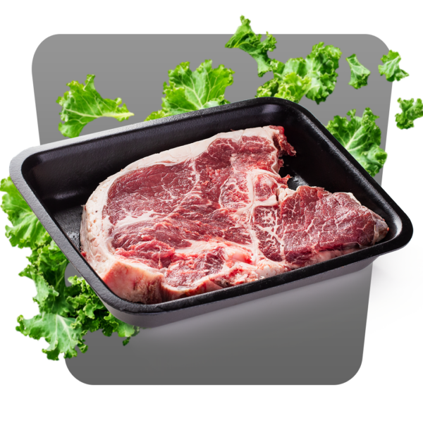 T-BONE DI BOVINO ADULTO - immagine 2